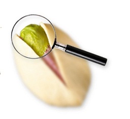 A new research about pistachio